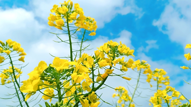 微信圖片_20230315132659.jpg 微信圖片_20230315132659.jpg