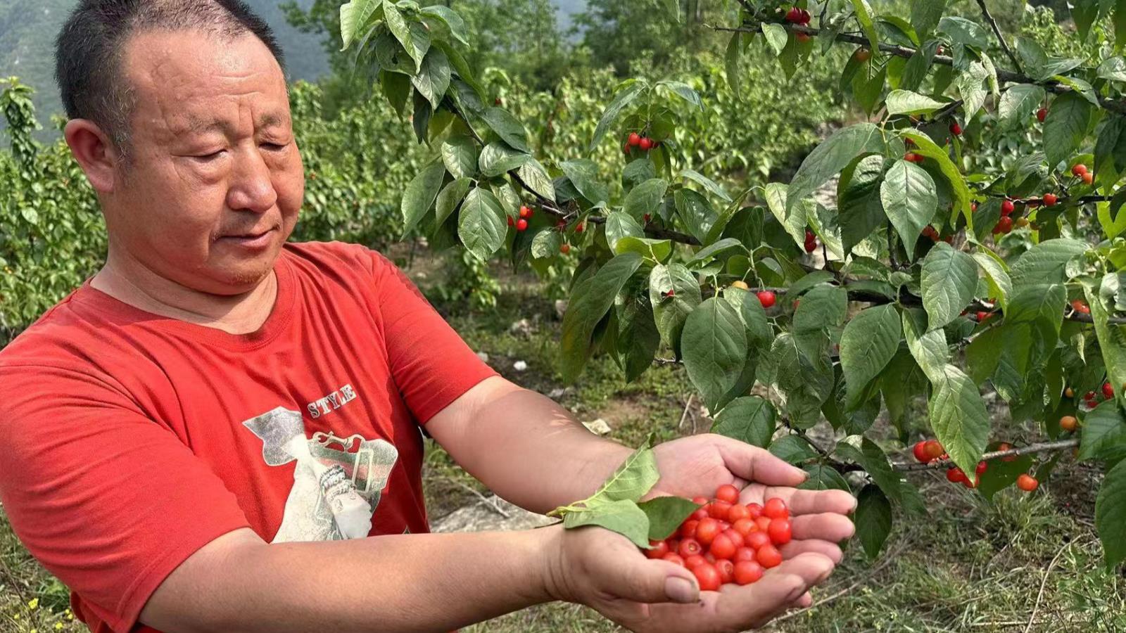 微信圖片_20230428164911.jpg 微信圖片_20230428164911.jpg