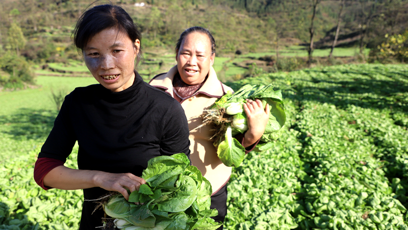 cf9ed2ae0b26e4ada462344b5fd7a276.png cf9ed2ae0b26e4ada462344b5fd7a276.png