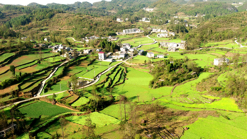 a87ee9fed385f05b72411fa5c9e37c41.png a87ee9fed385f05b72411fa5c9e37c41.png