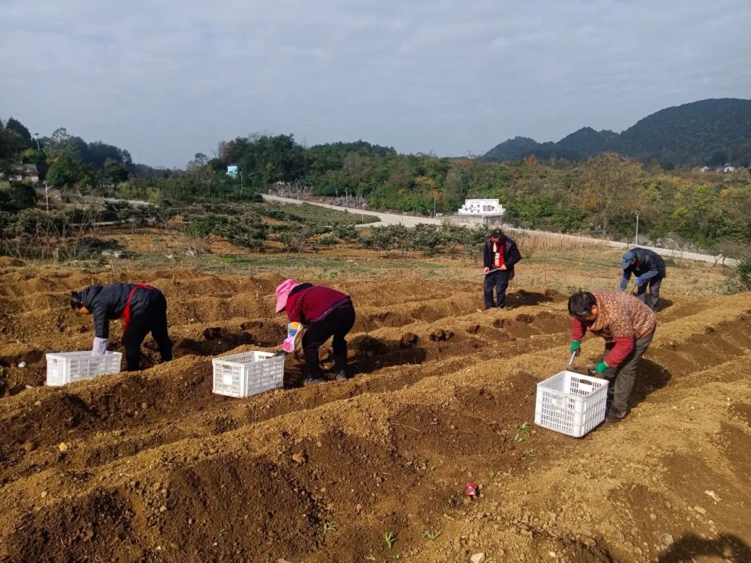 0e456059b82fda86d62c69bd86fd42d0.jpg 0e456059b82fda86d62c69bd86fd42d0.jpg