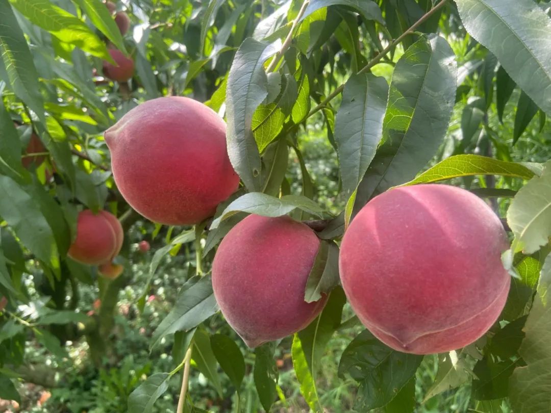 63124440adf4b196f1b9e79bd1e853a1.jpg 63124440adf4b196f1b9e79bd1e853a1.jpg