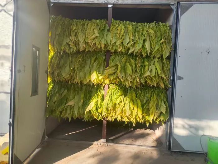 1026b890523ac347e73993cc4b7b07fa.jpg 1026b890523ac347e73993cc4b7b07fa.jpg