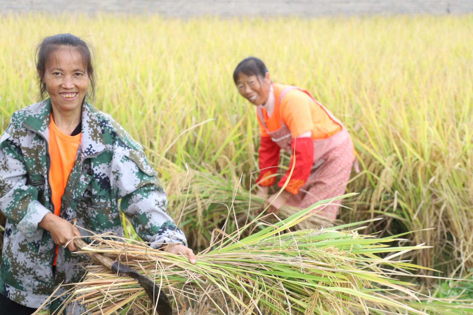 3aa455cd11858ae50bc6aacfb304dbfd.jpg 3aa455cd11858ae50bc6aacfb304dbfd.jpg