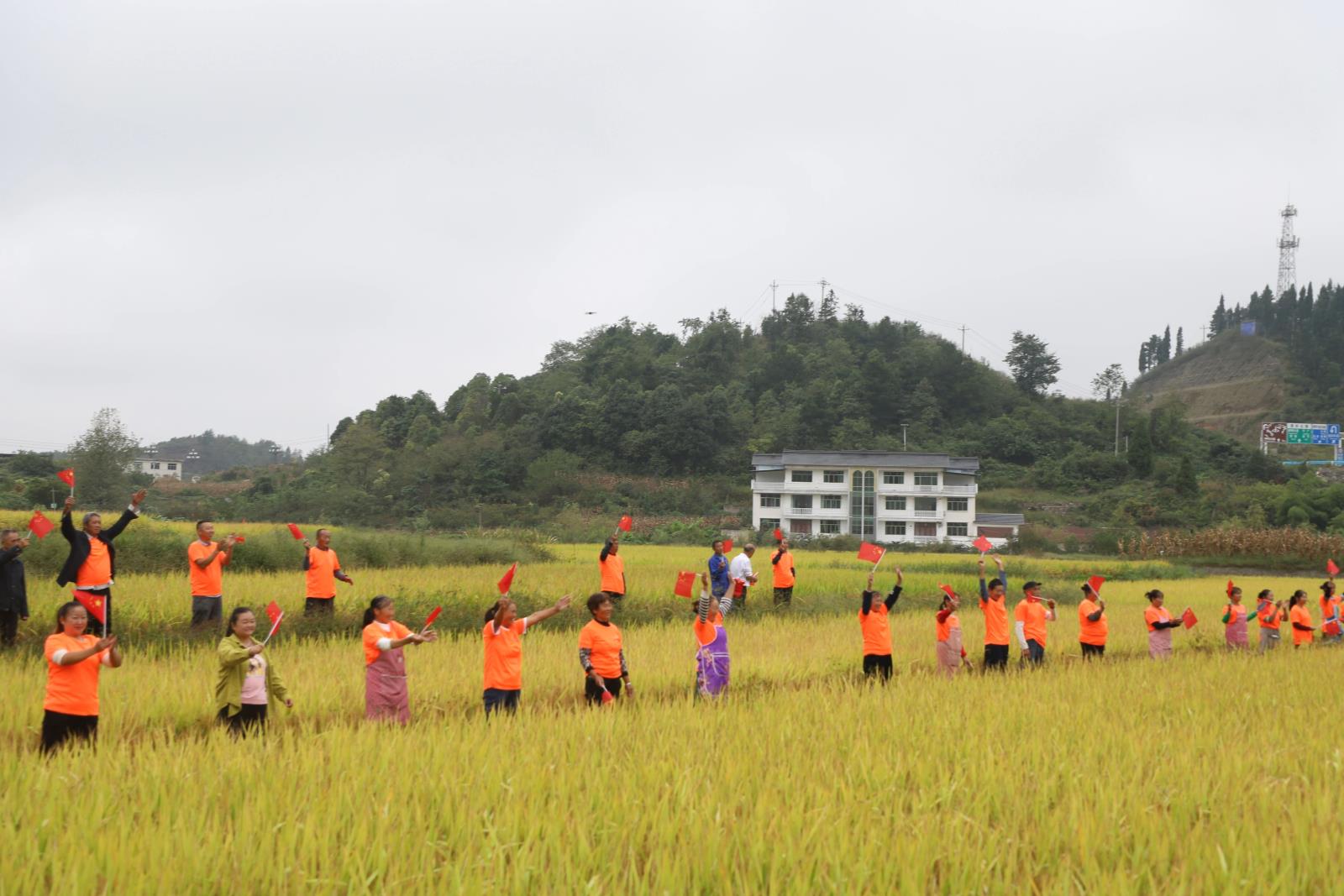 b44b6457e8af3a41bd083975567d2d3e.jpg b44b6457e8af3a41bd083975567d2d3e.jpg