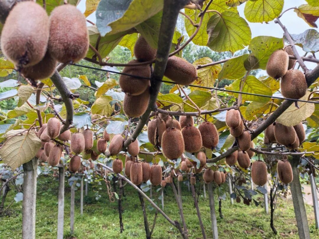 323f151f1b7dc6662fd11ef5cc33c4d3.jpg 323f151f1b7dc6662fd11ef5cc33c4d3.jpg