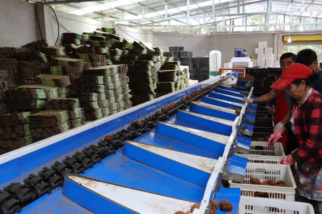 ffc23a8fef4a406124e7fa0f635dc58c.jpg ffc23a8fef4a406124e7fa0f635dc58c.jpg